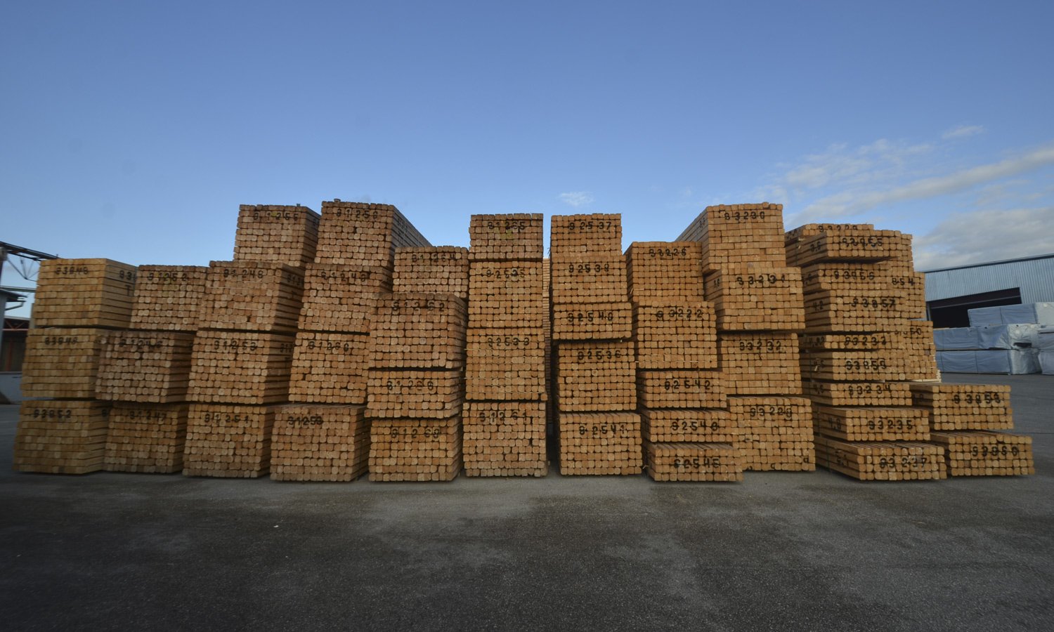 /Files/Images/wood-from-the-baltics-1500.jpg